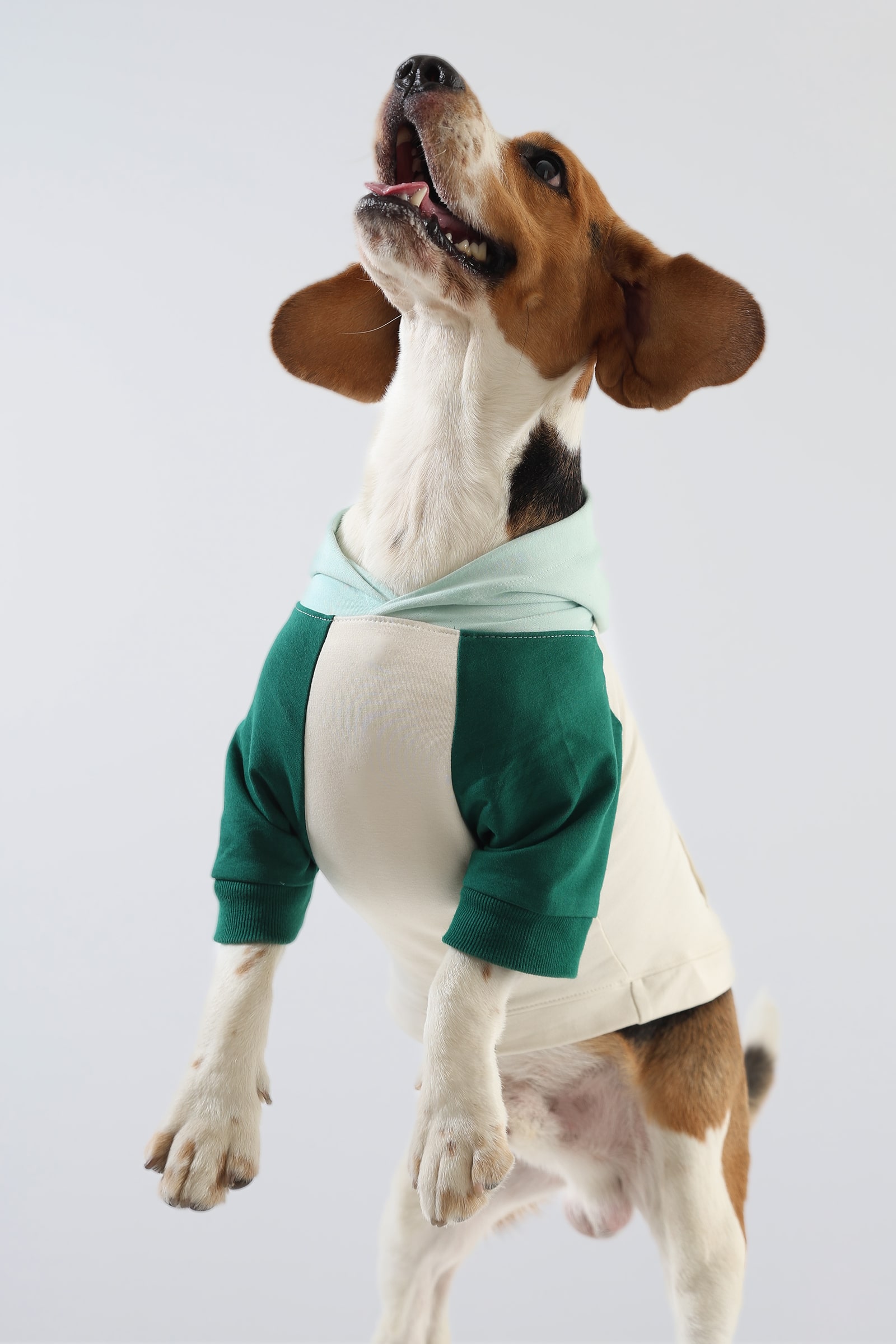 2M Product active 2 Fresh Mint Dog Hoodie-min