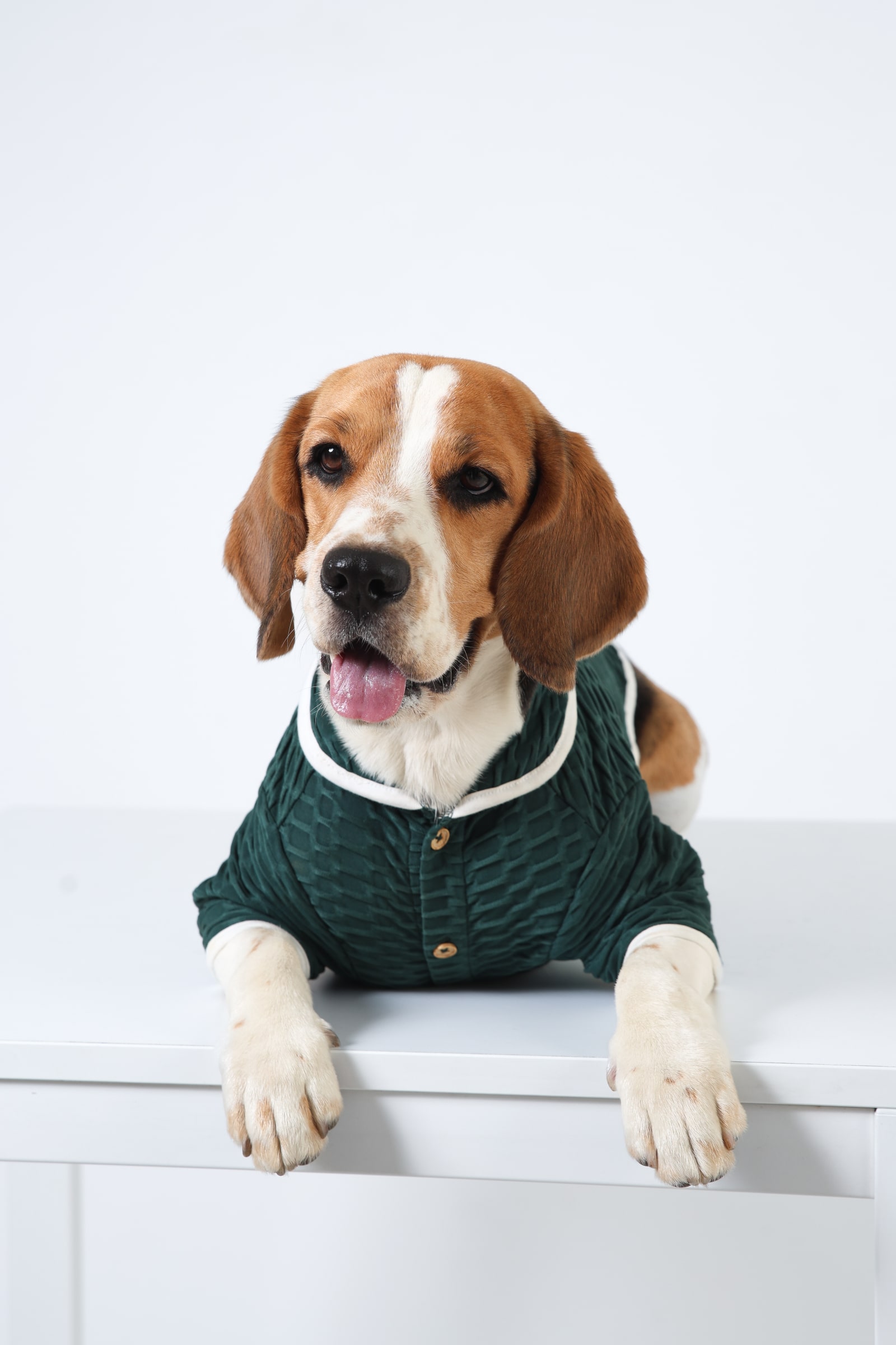 1 Lush Green Dog Shirt