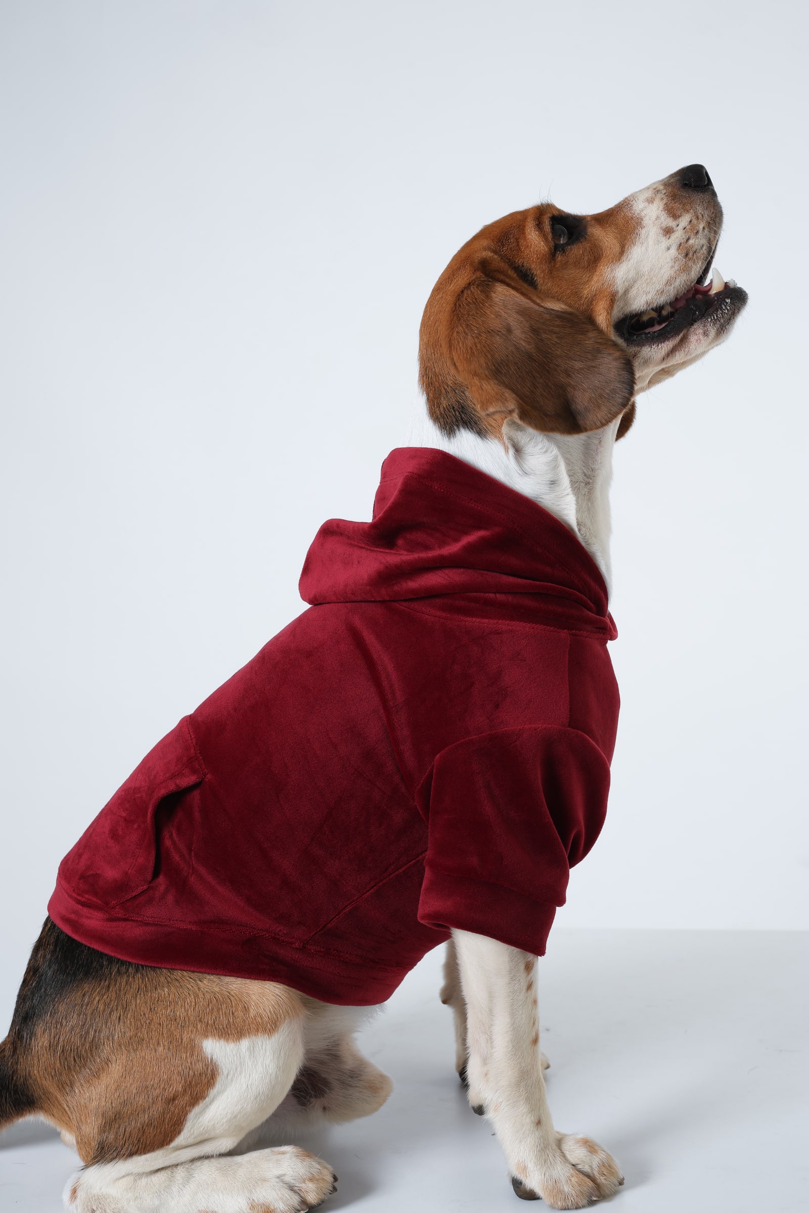 3 Red soft Dog Hoodie