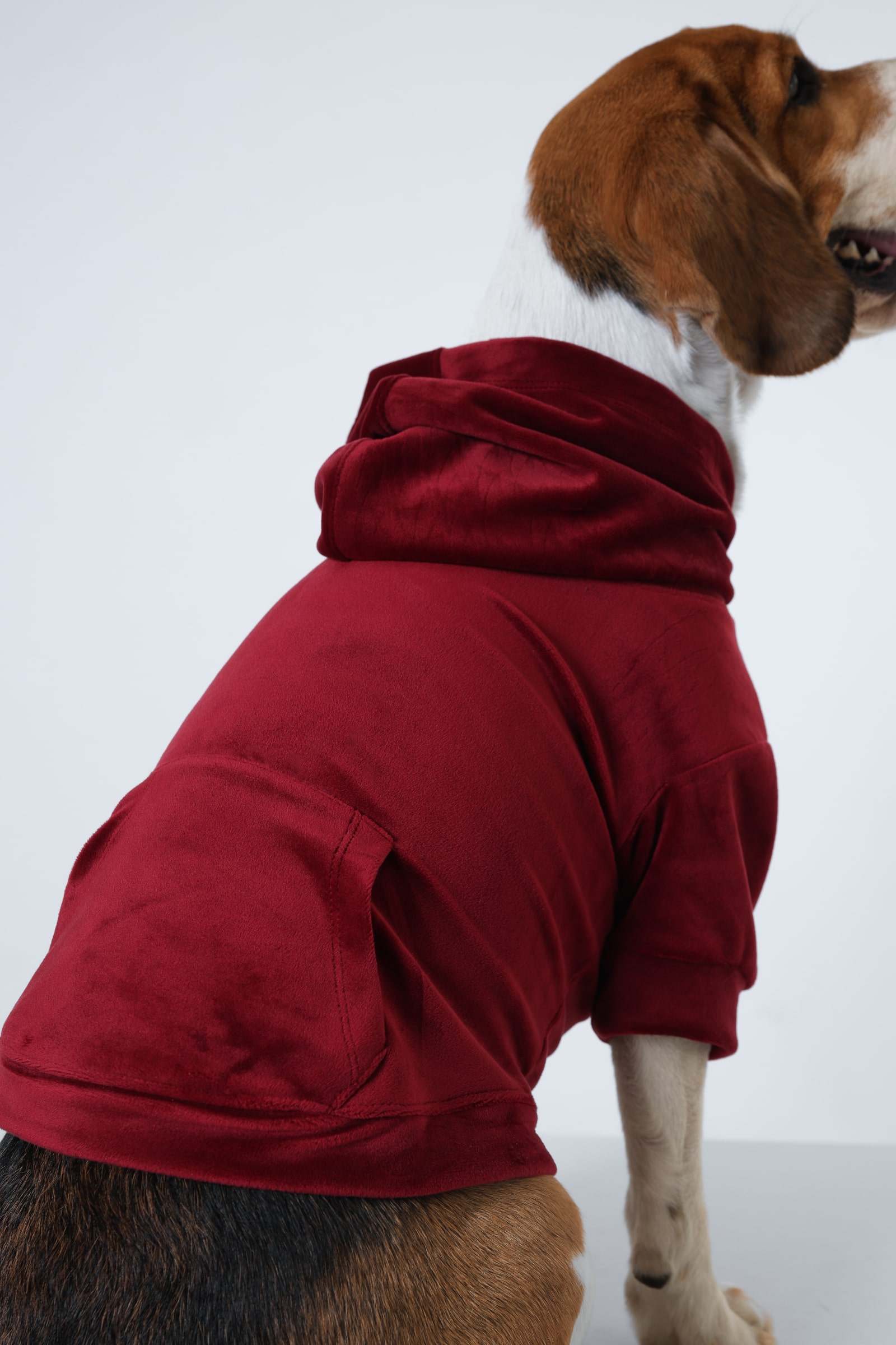 4 Red soft Dog Hoodie