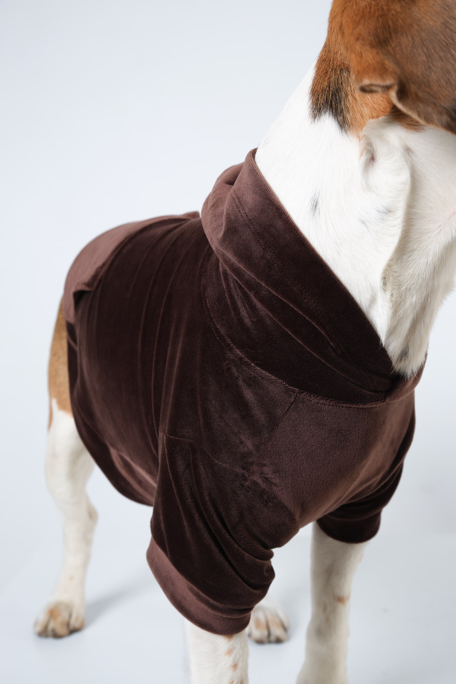 5 Brown soft Dog Hoodie
