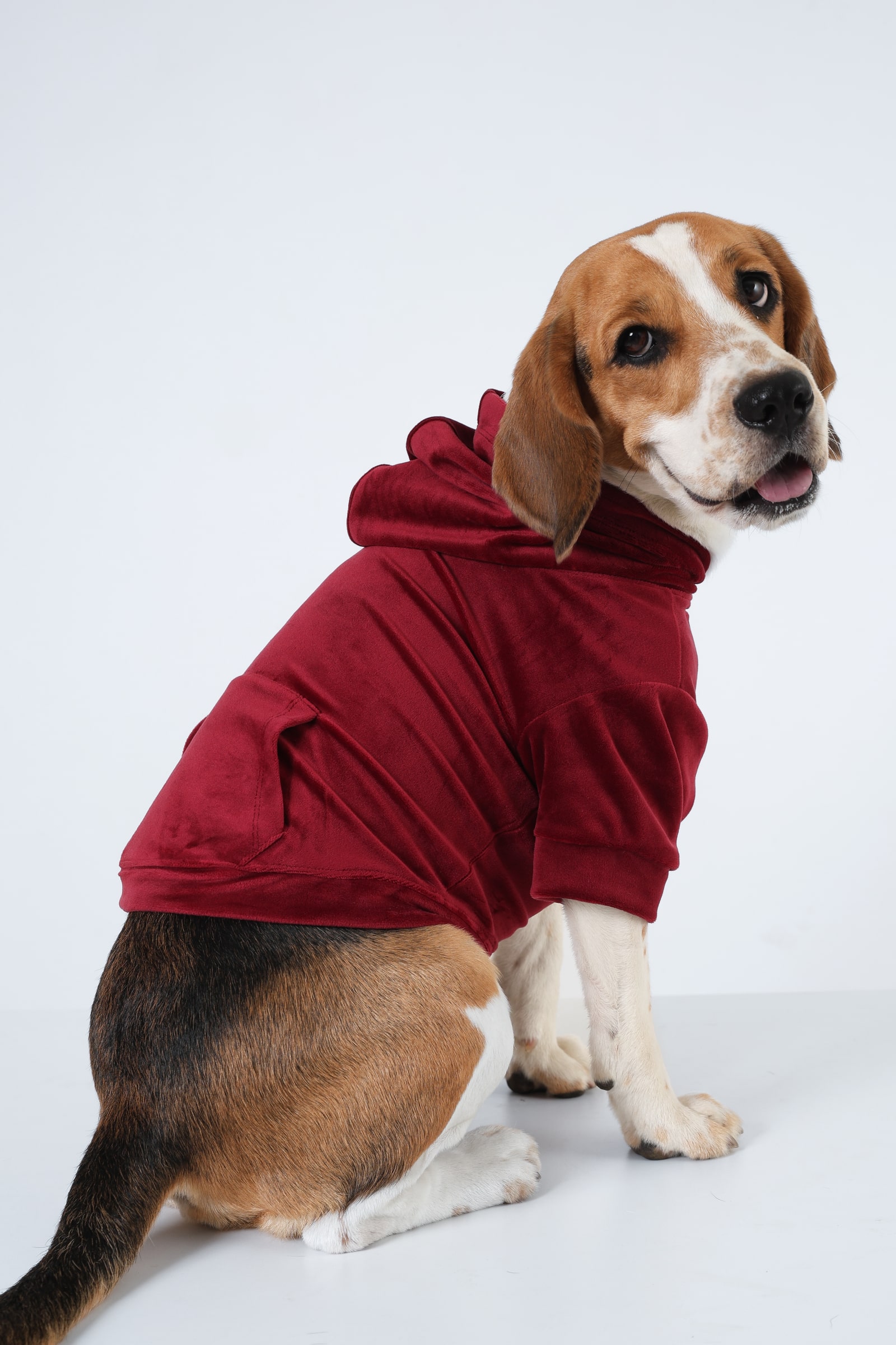 5 Red soft Dog Hoodie