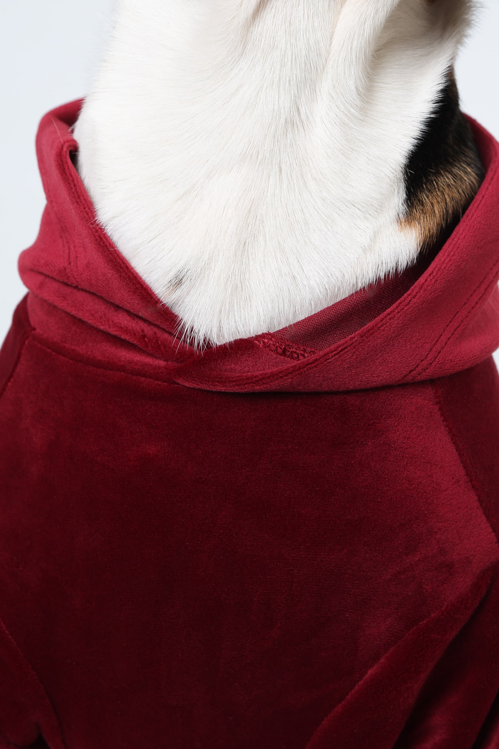 6 Red soft Dog Hoodie