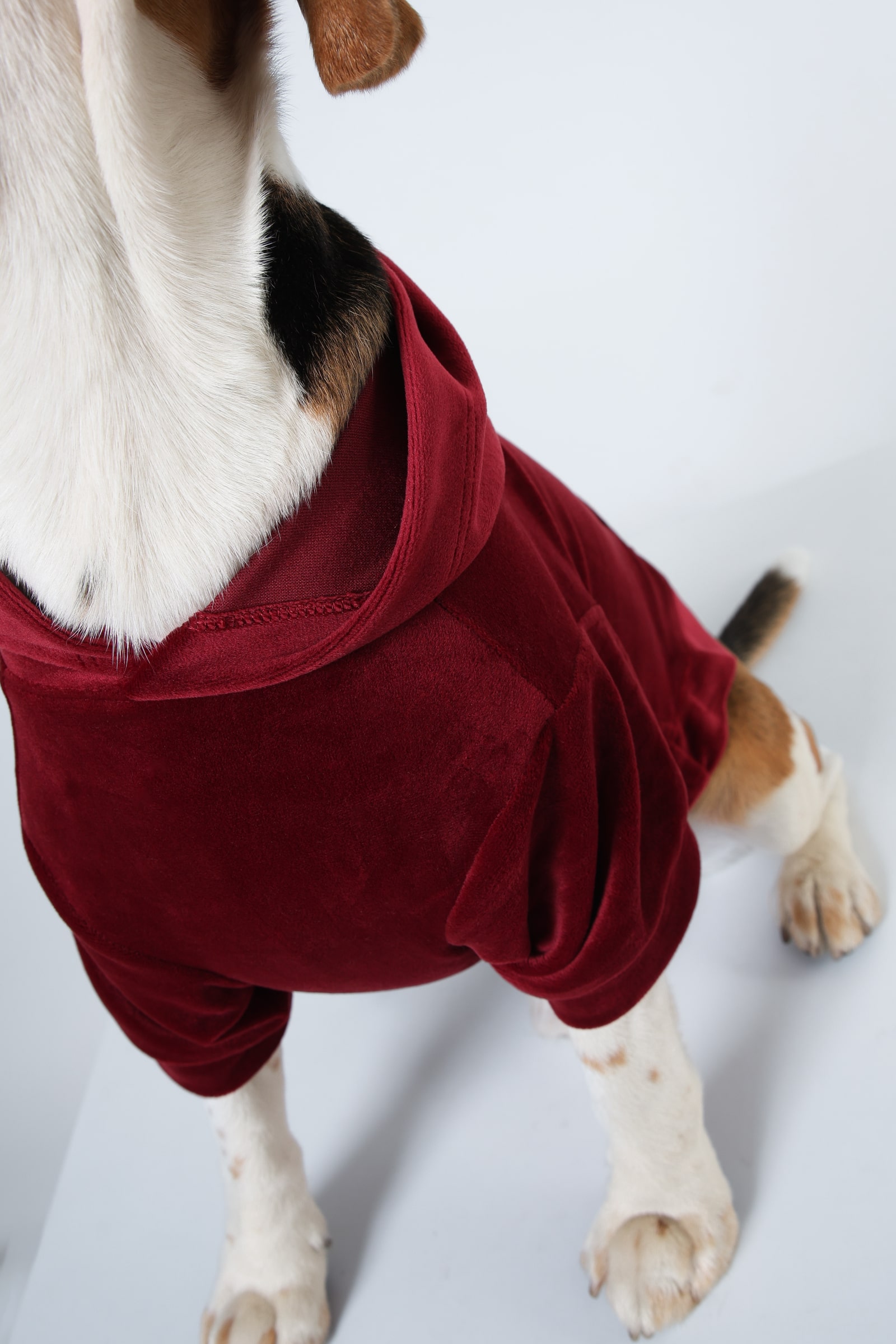 7 Red soft Dog Hoodie