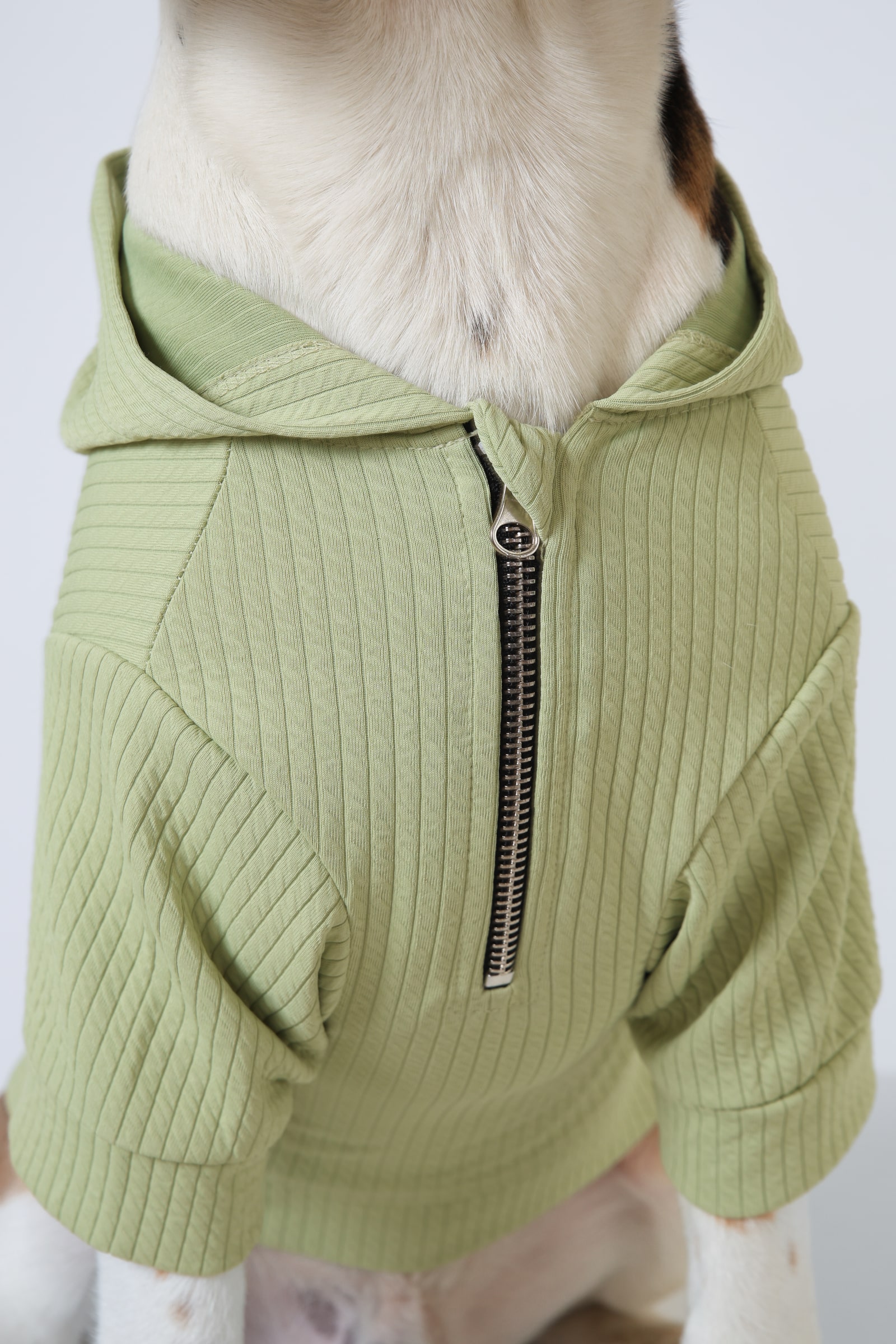 5 light green Wiggle Dog Clothes Hoodie