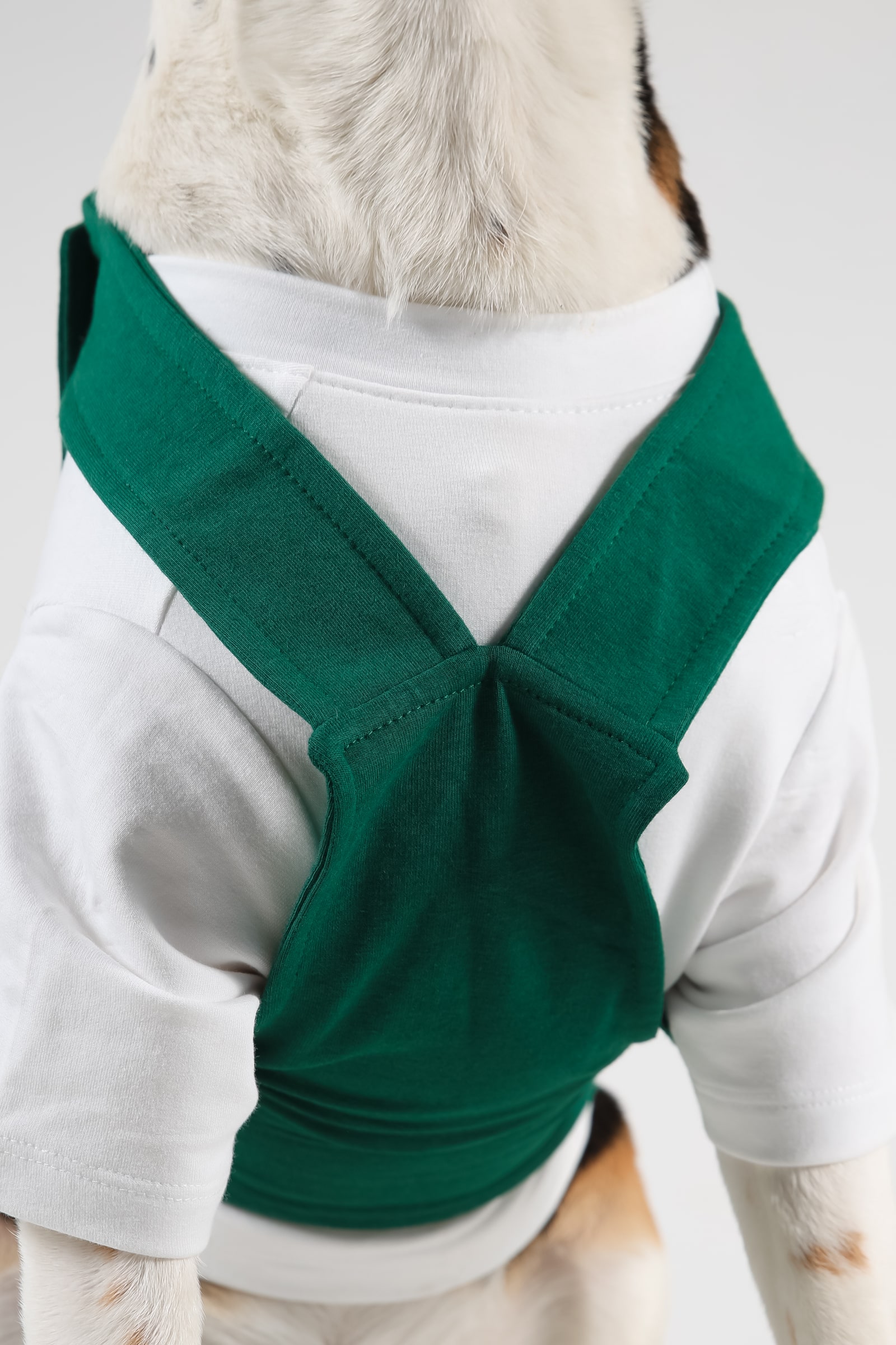 2 Green Dog Dungaree Clothes