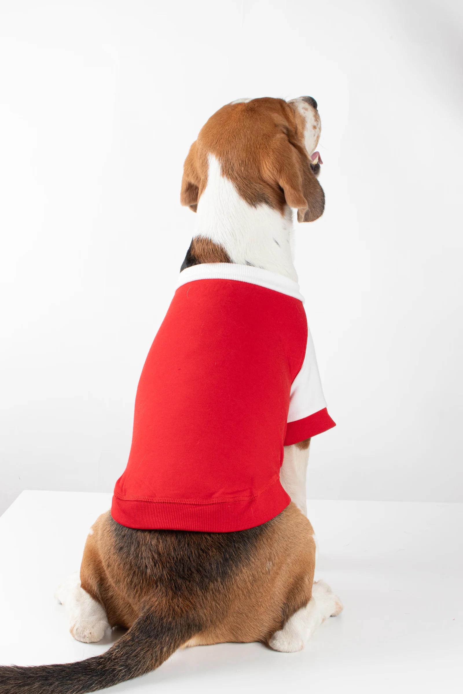 4-Red-Dog-Tshirt