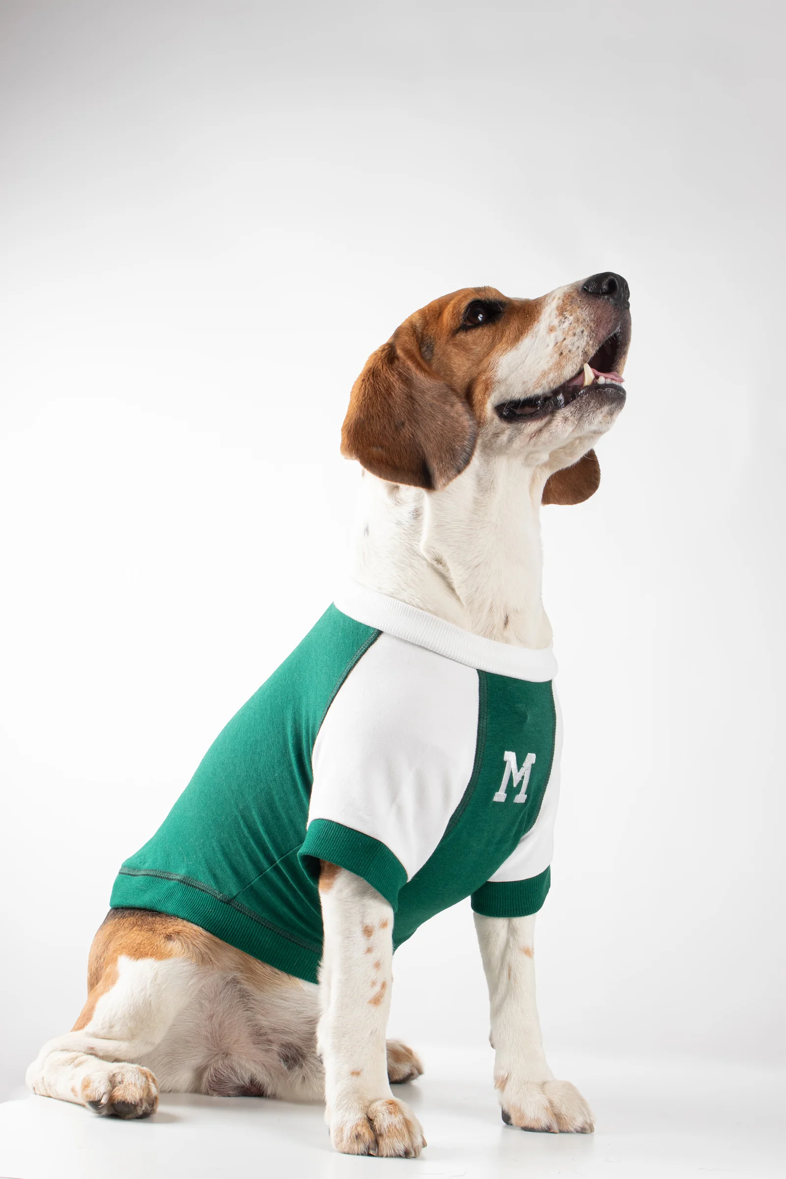 8-Green-Dog-Tshirt