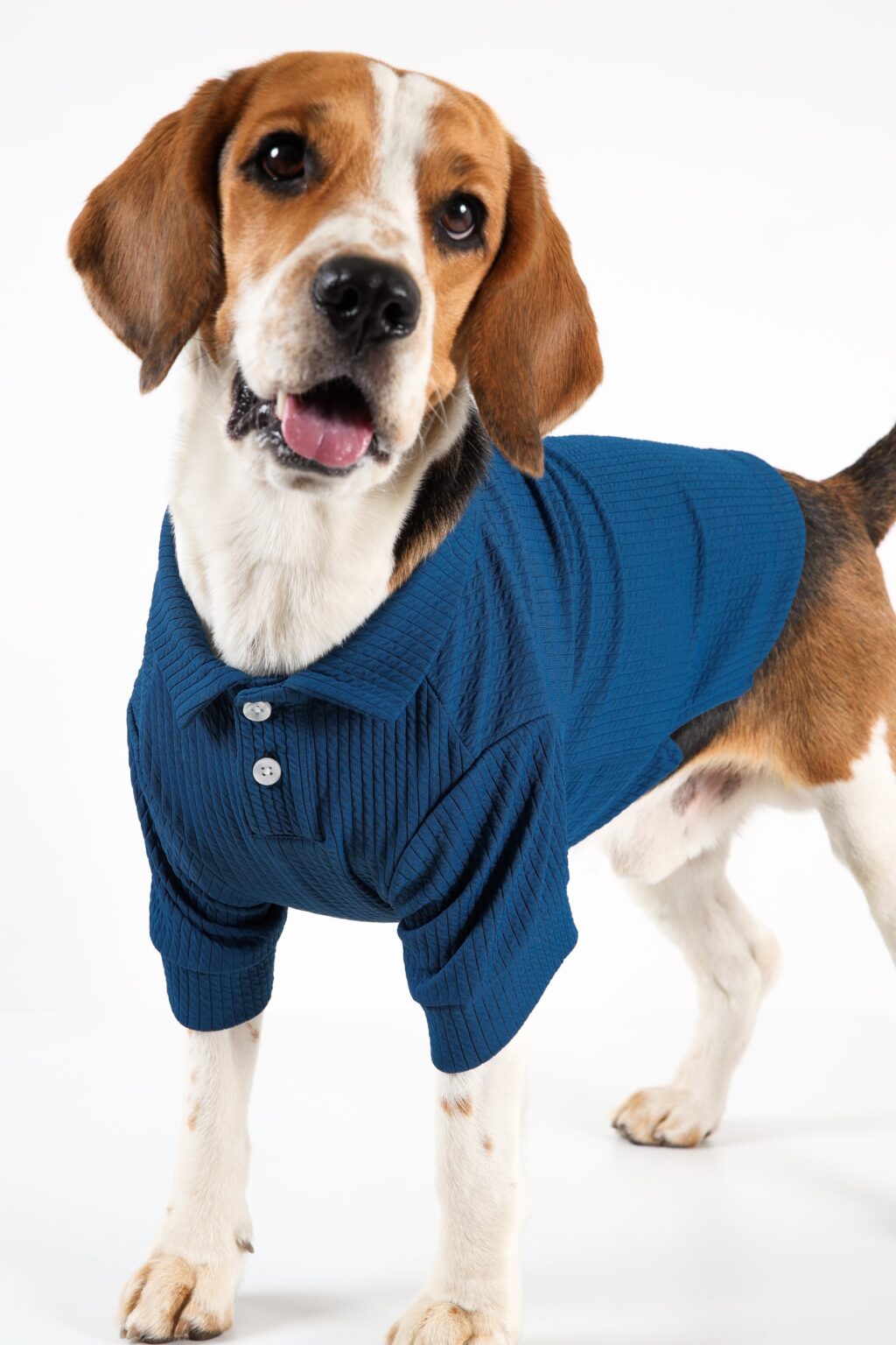 Pet Polo main image 1