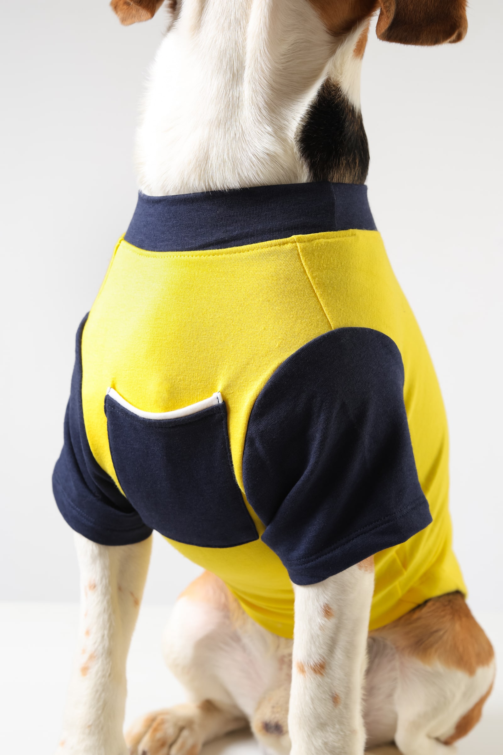 1 BumbleBee Dog Tshirt