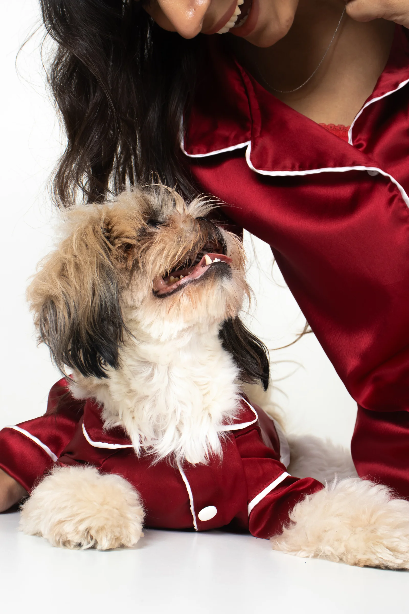 Dog Closeup 2
