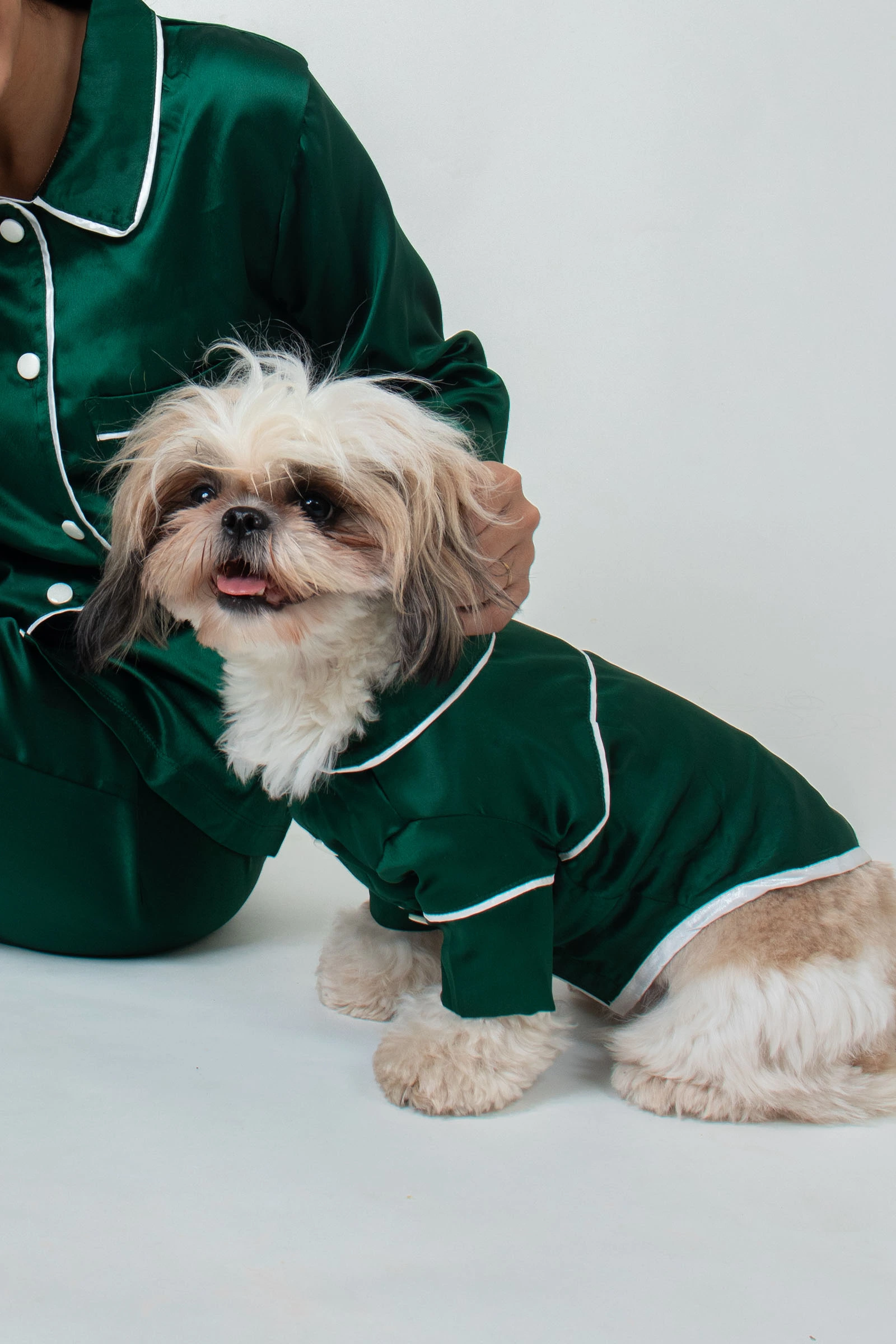 Dog Front 4