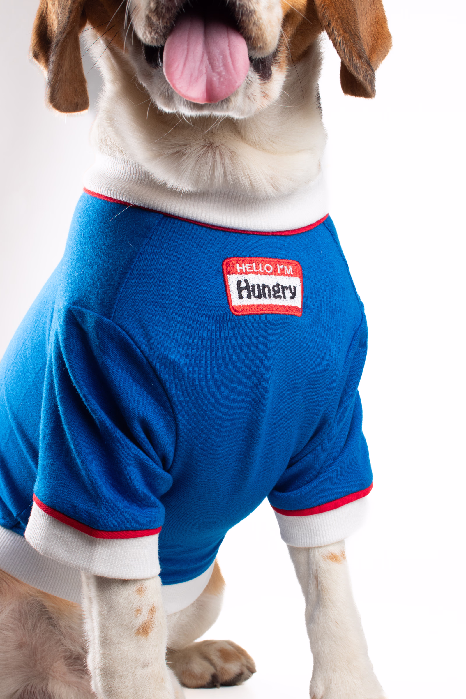 5 Blue Dog Tshirt ENT